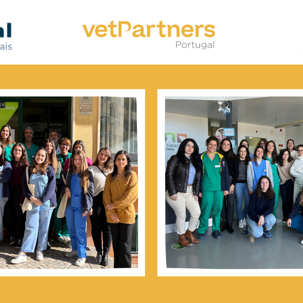 Hospital dos Animais e Centro Veterinário de Sintra juntam-se à VetPartners