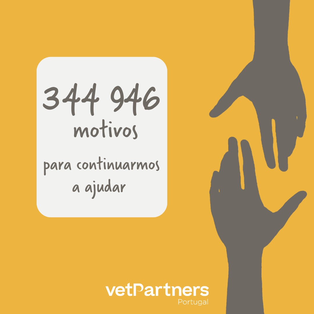 A VetPartners orgulha-se da generosidade da sua equipa