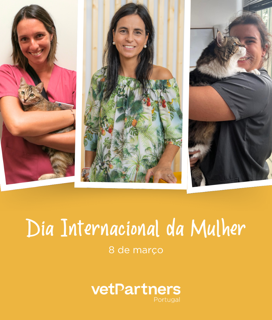 Celebramos o Dia Internacional da Mulher na VetPartners