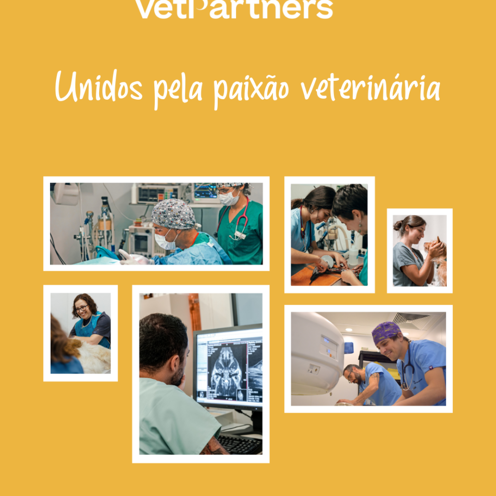 Unidos pela paixão veterinária