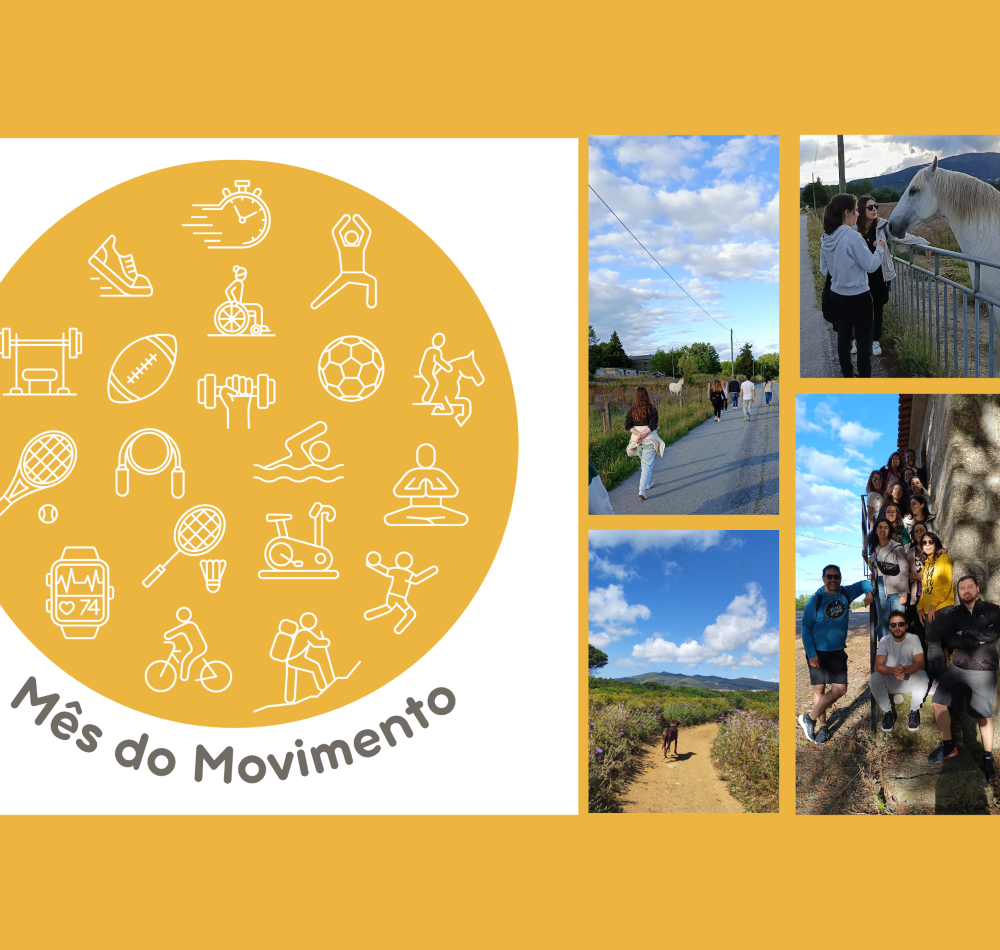 A família VetPartners une-se para promover a atividade física e apoiar causas solidárias
