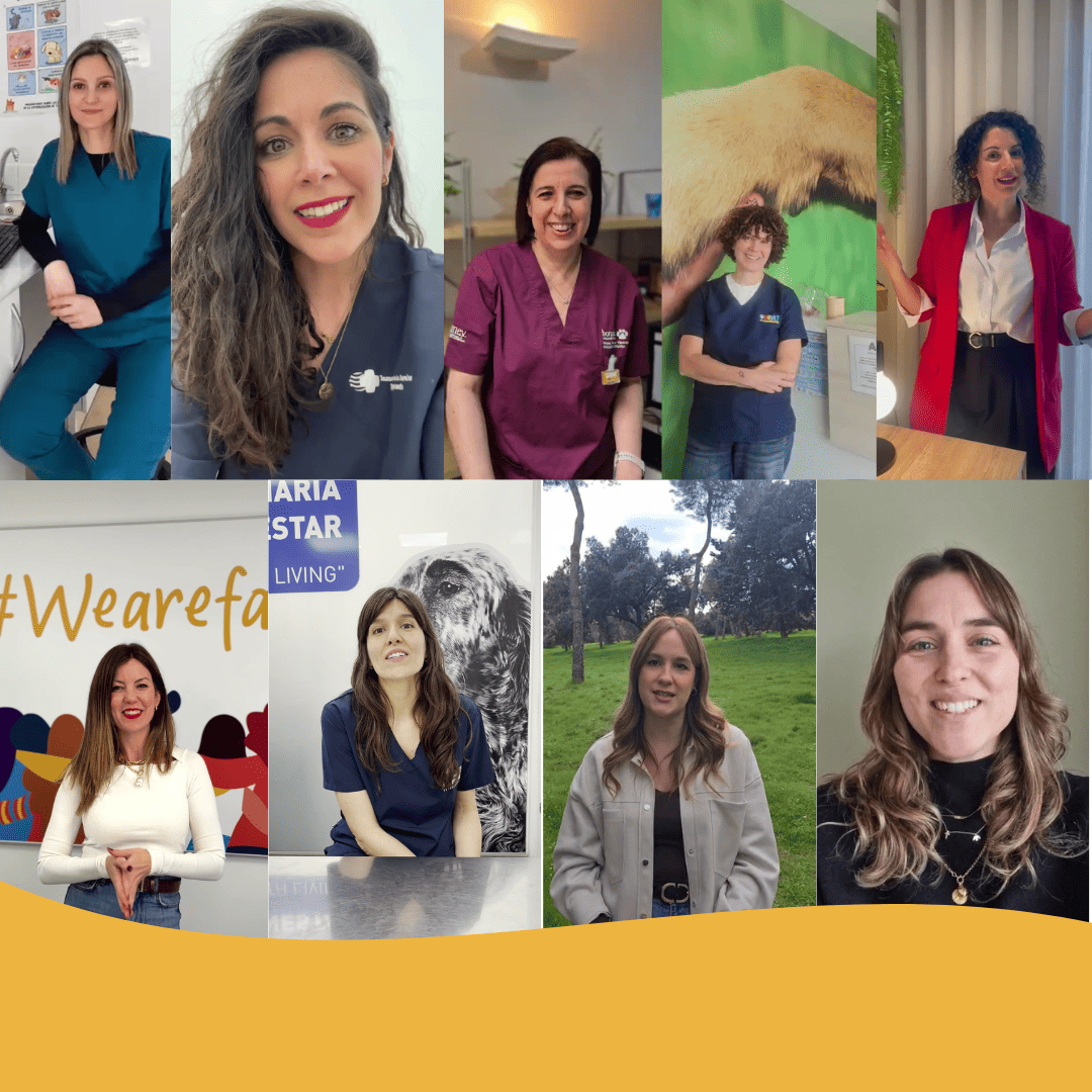 No Dia Internacional da Mulher, celebramos o talento das profissionais que fazem parte da nossa família
